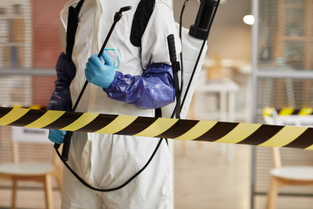 Professional Hoarding Cleanup technician working in White Cloud, MI