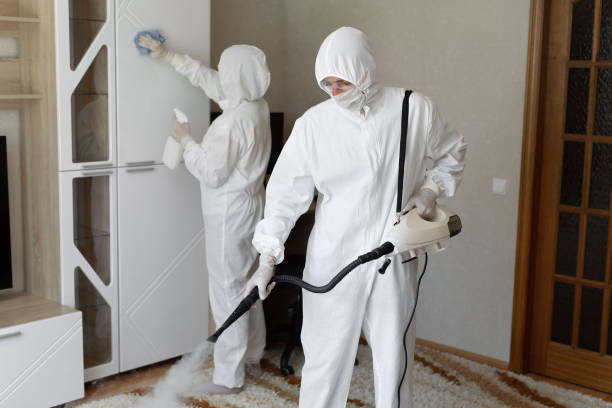 Trusted Sewage Cleanup service in White Cloud, MI - Four Month Blood Cleanse